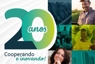 Relatório anual 2024